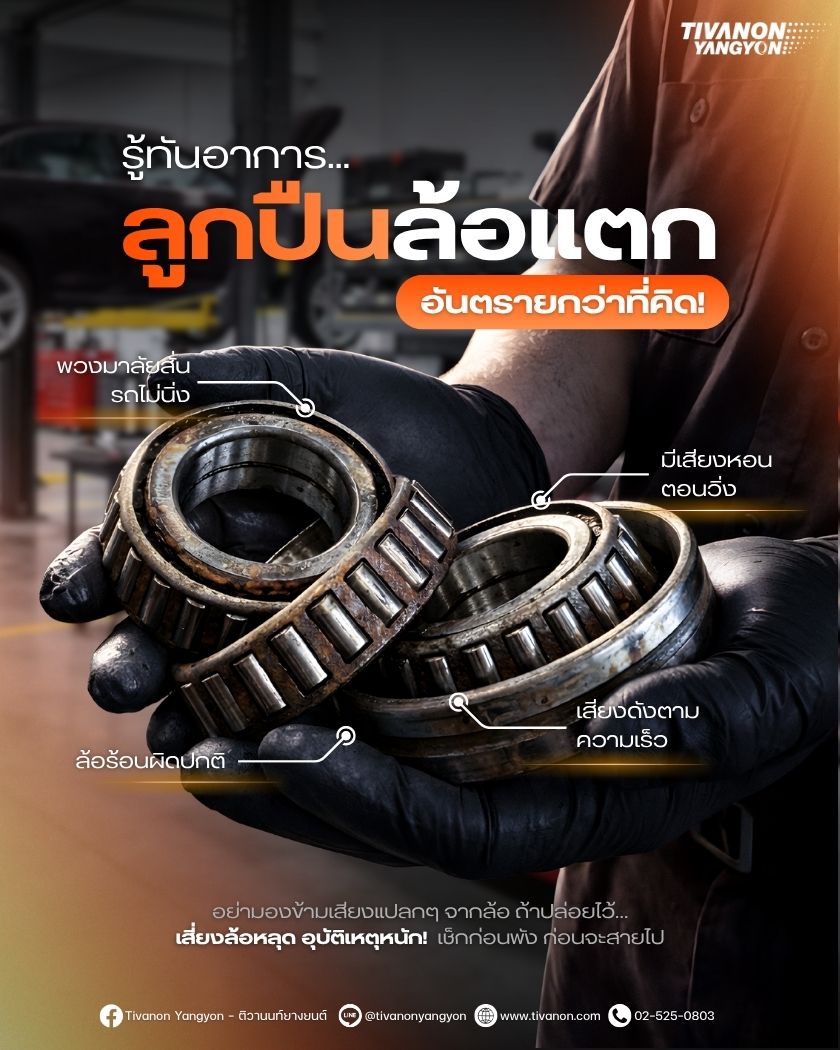 article-image